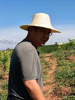 农业人叶涛，50多岁通讯人跨界搞农业，他要用1000万打造一个梦。